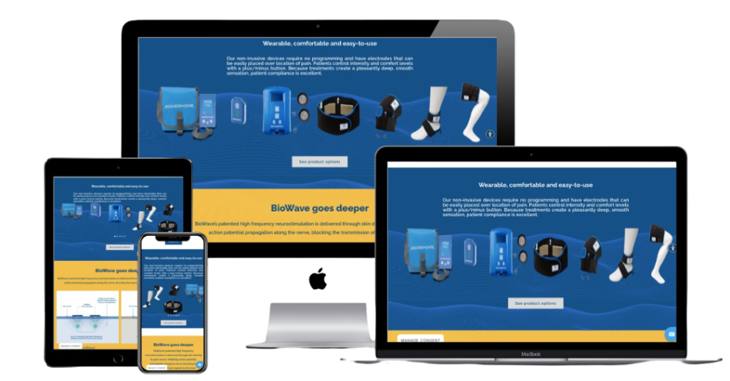 Web Development Project